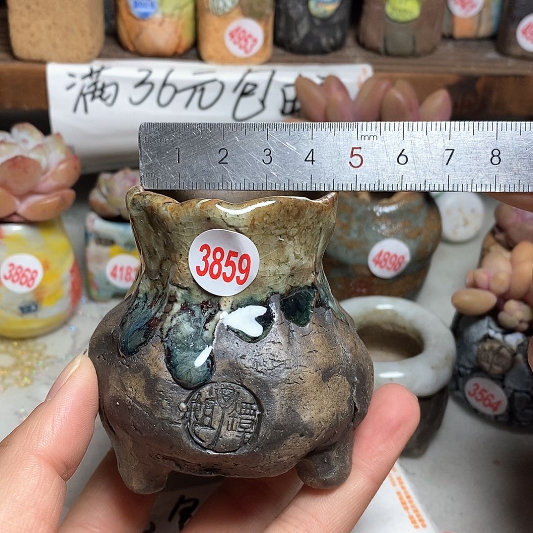 红陶拍5送一个小