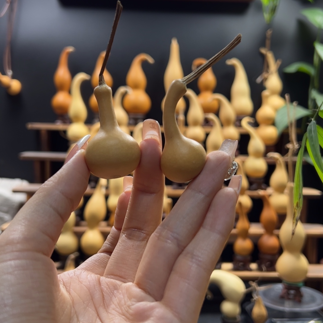 灰***萌木啦咯哦哦哦嘻嘻嘻嘻哈哈