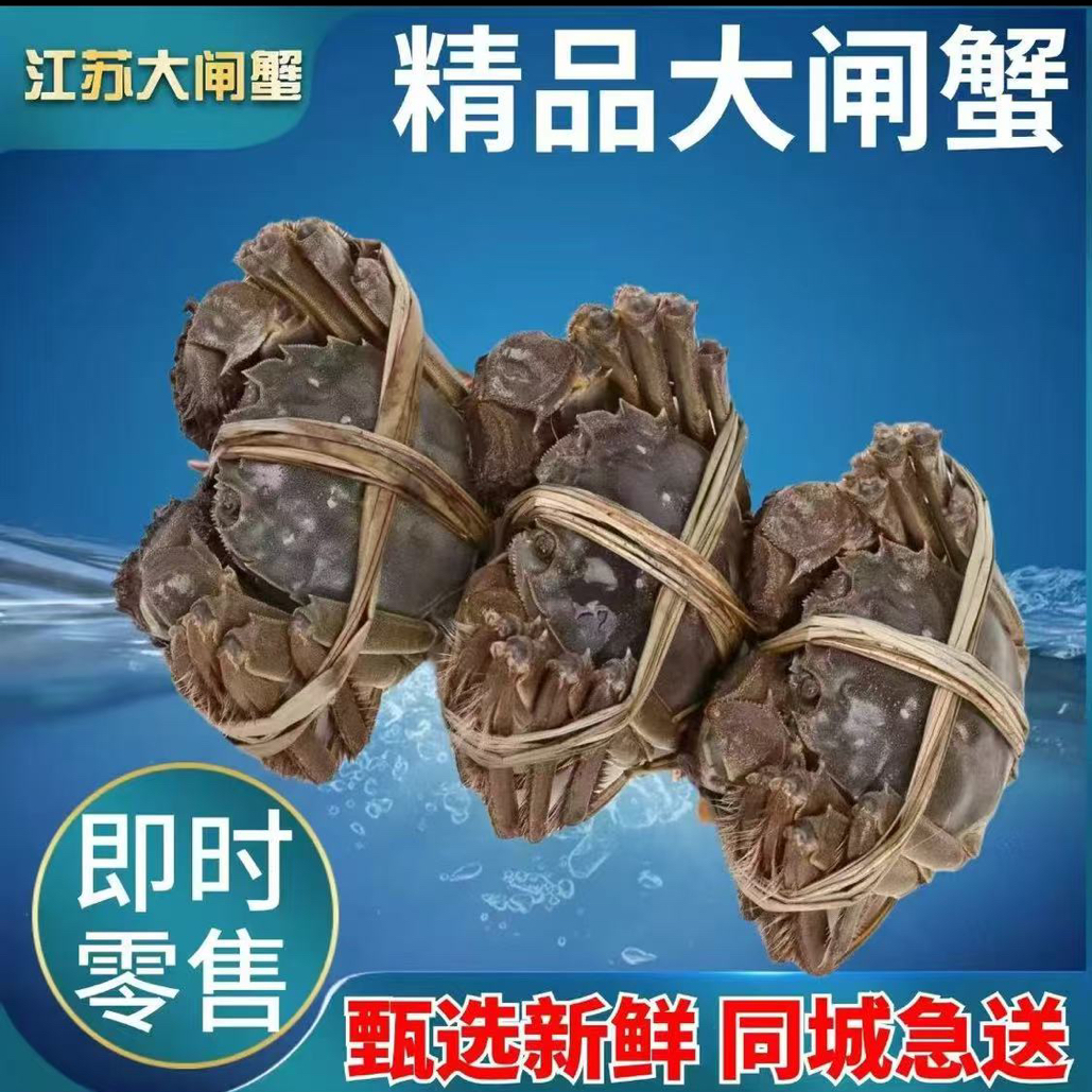 硬黄江苏【4.0两母蟹】单只 跑腿小时达