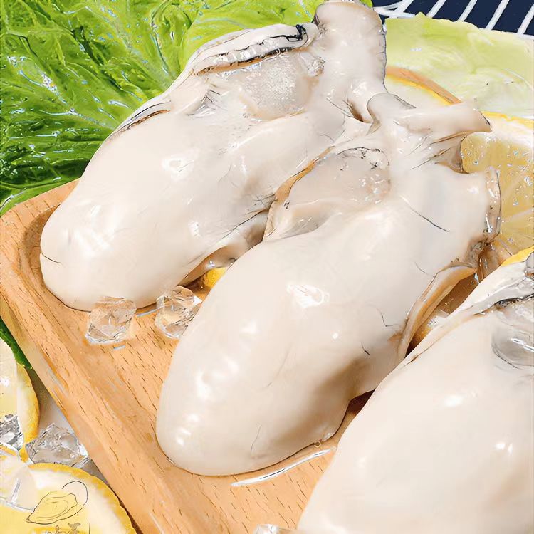 连云港发货 大个原浆生蚝肉 新鲜饱满 250g/盒*8盒