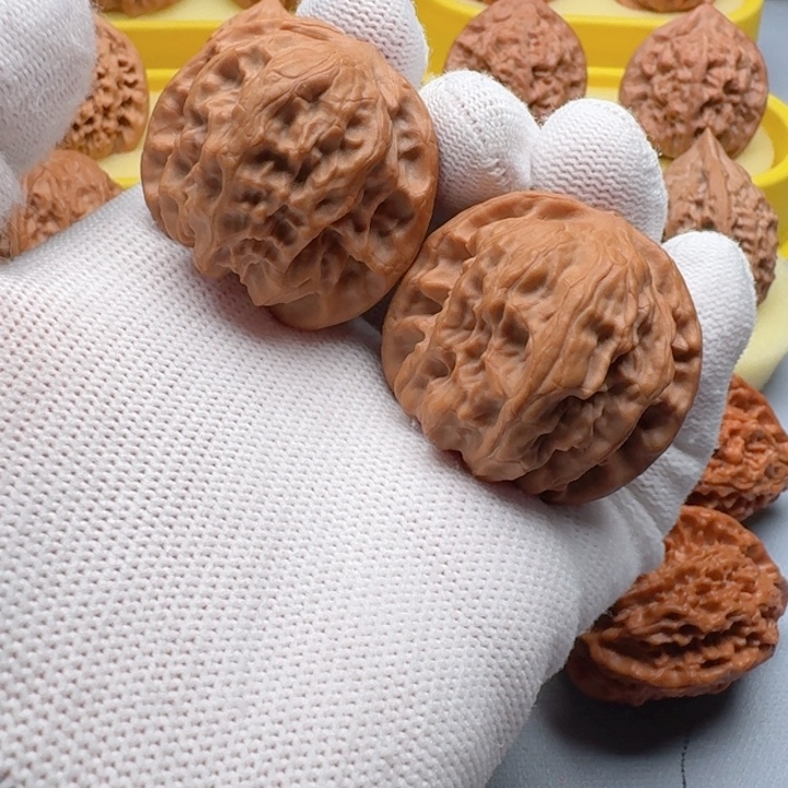 核桃38尺野狼骨质好