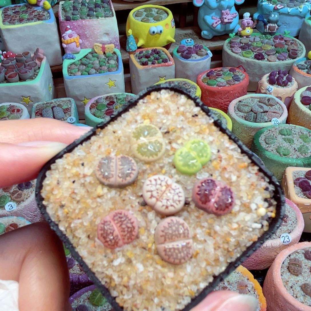 288 88888888888888888888888