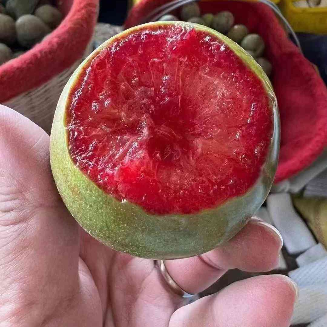 【空运新疆恐龙蛋李子3斤】纯甜多汁顺丰同城送货上门新疆维吾尔自治区