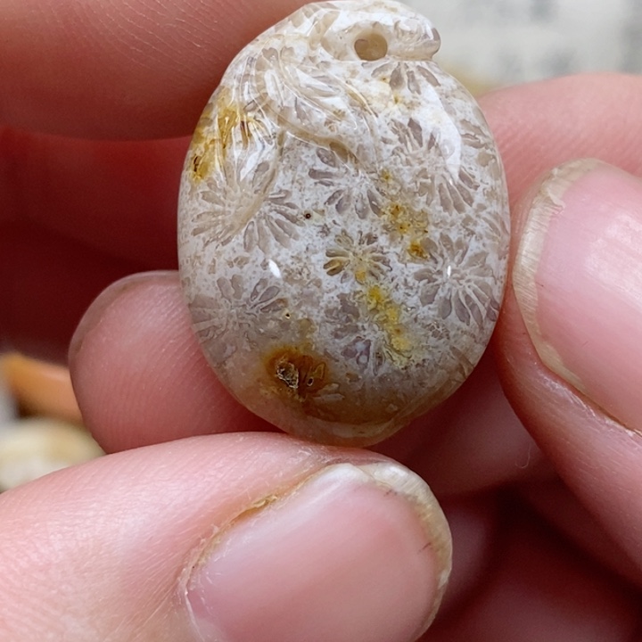 颈饰未镶嵌硅化珊瑚（珊瑚玉）有瑕 小