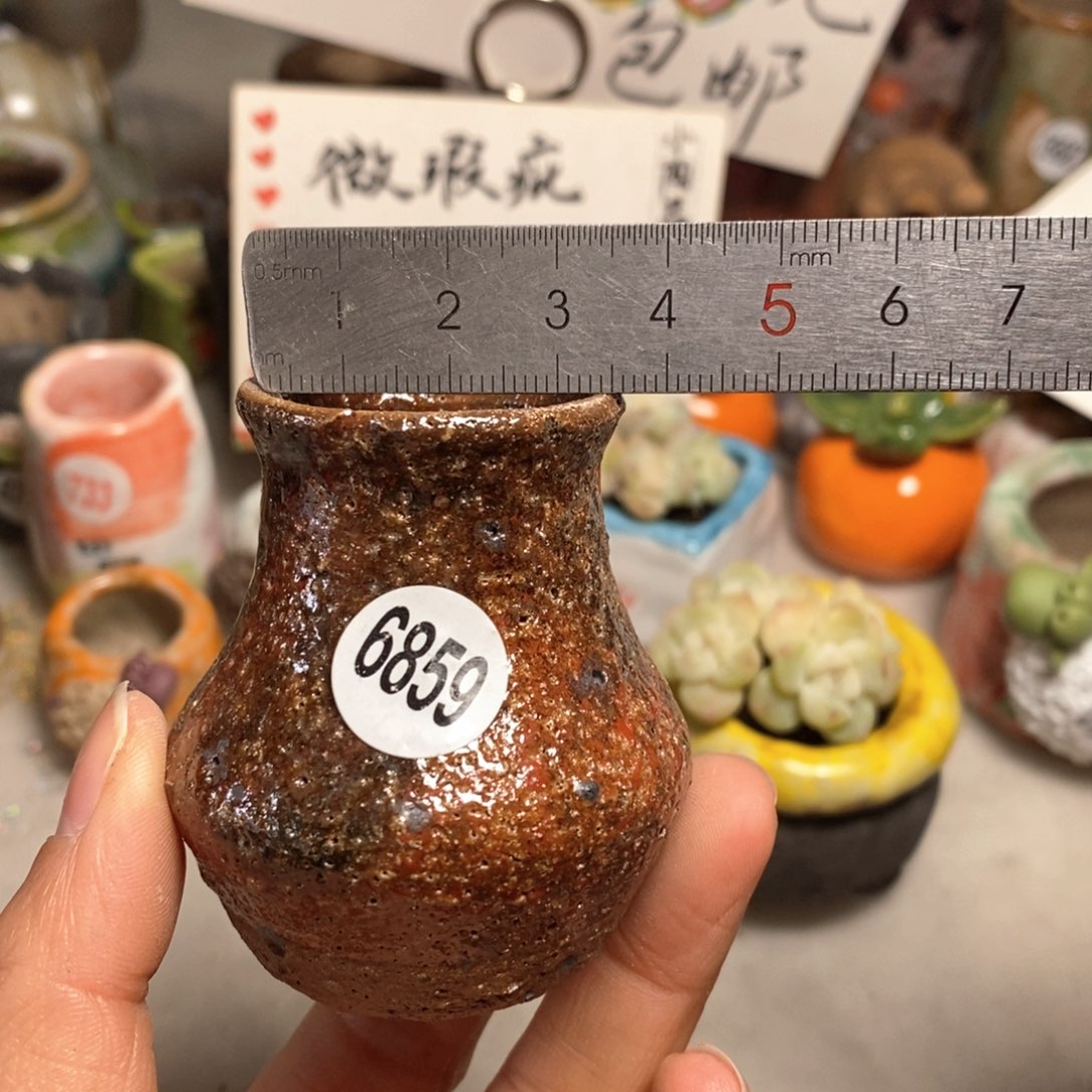 拍5送一个小礼物＇花盆