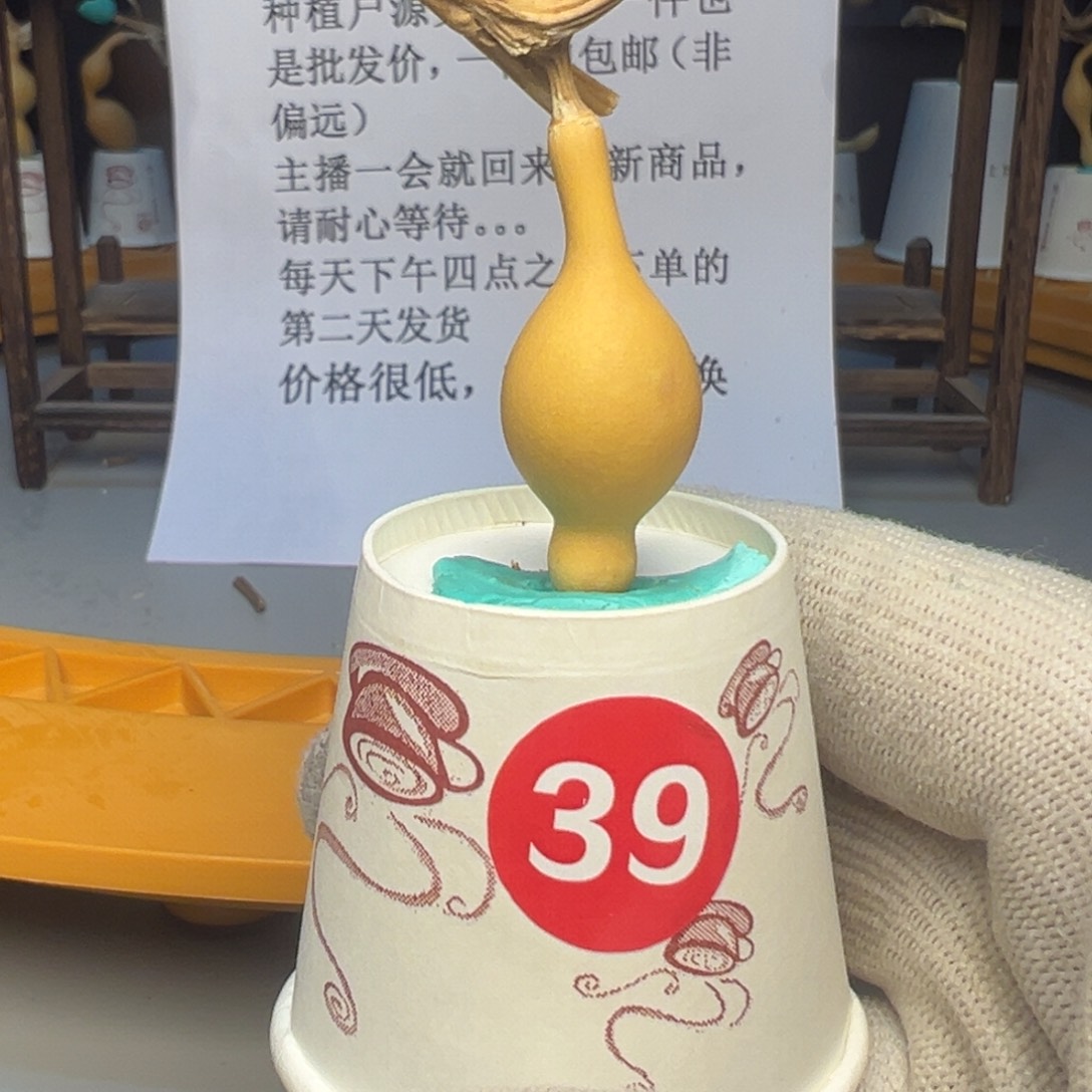 闪电购自助下单编号39