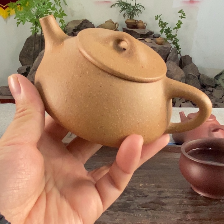 紫砂茶壶宜兴黄降坡280