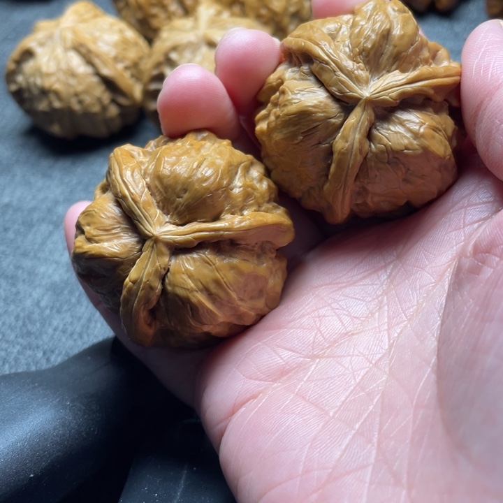 常***胜手工三棱蛤蟆头三棱