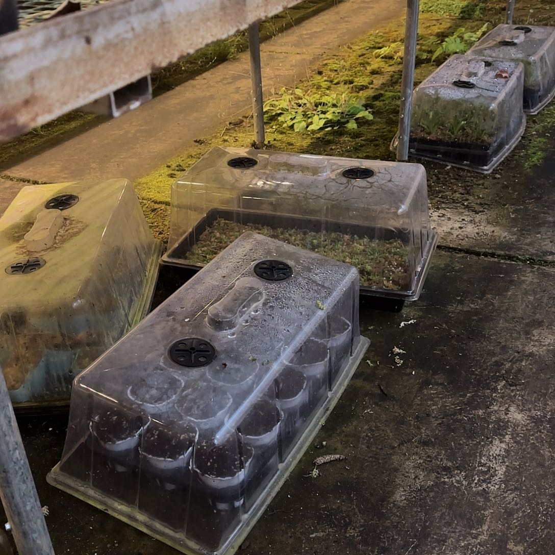 进***冬无花朵专拍保温链接