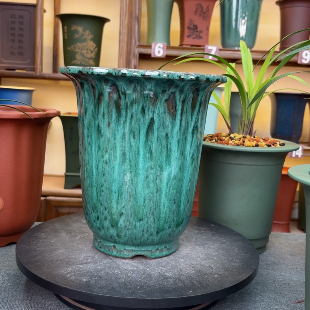 紫砂花盆兰花8764648488484