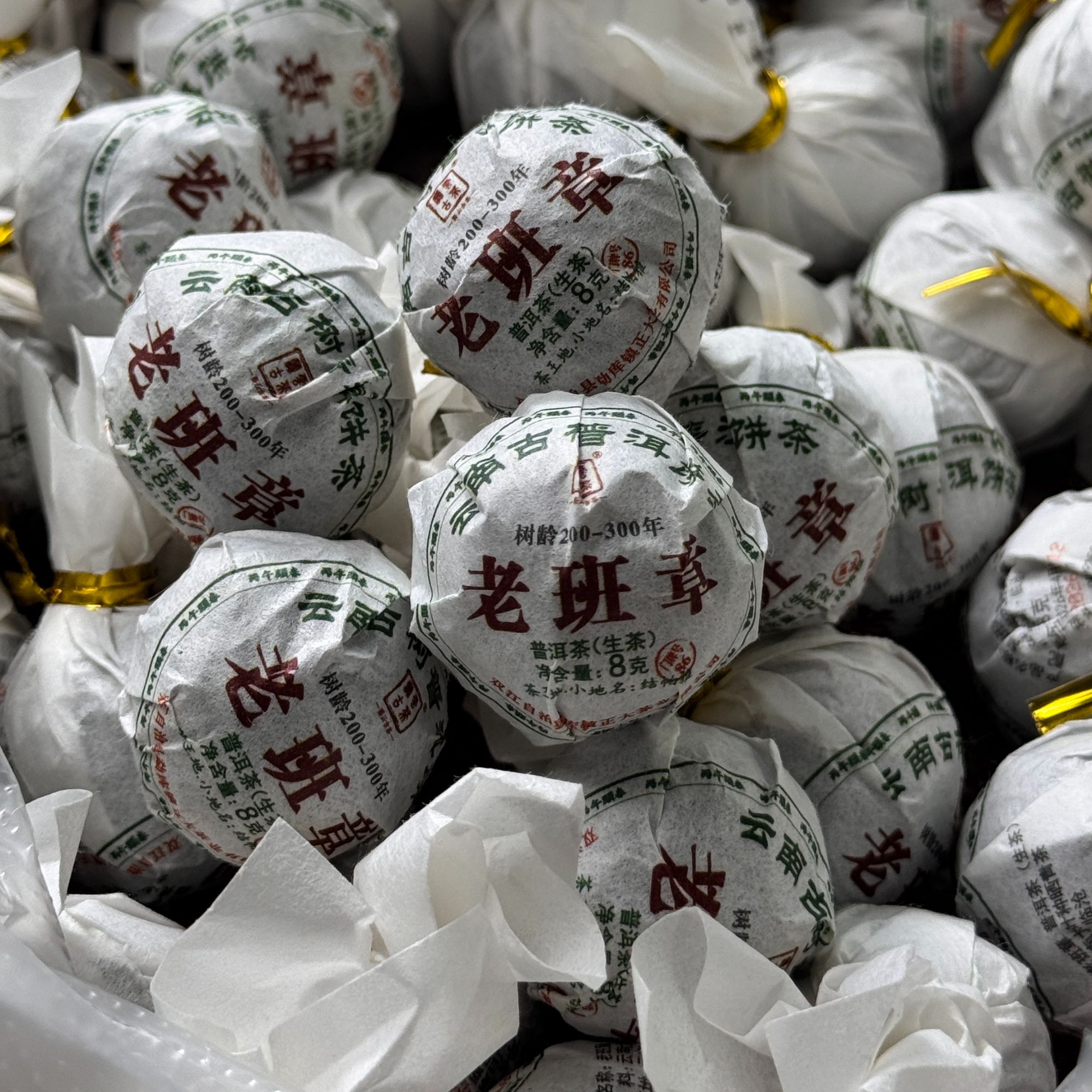 2026年老班章茶王地古树-小龙珠-云南普洱茶-生茶±8克/颗