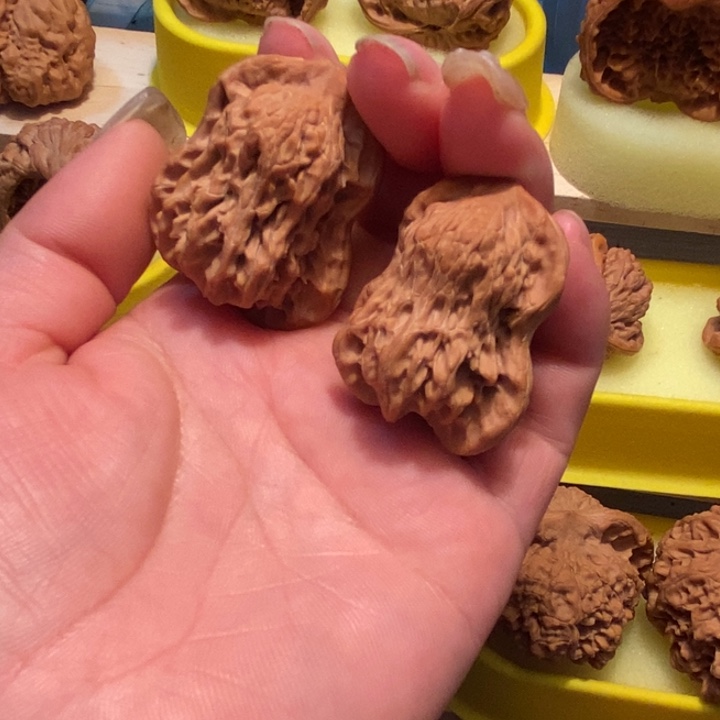 官方网站发布消息