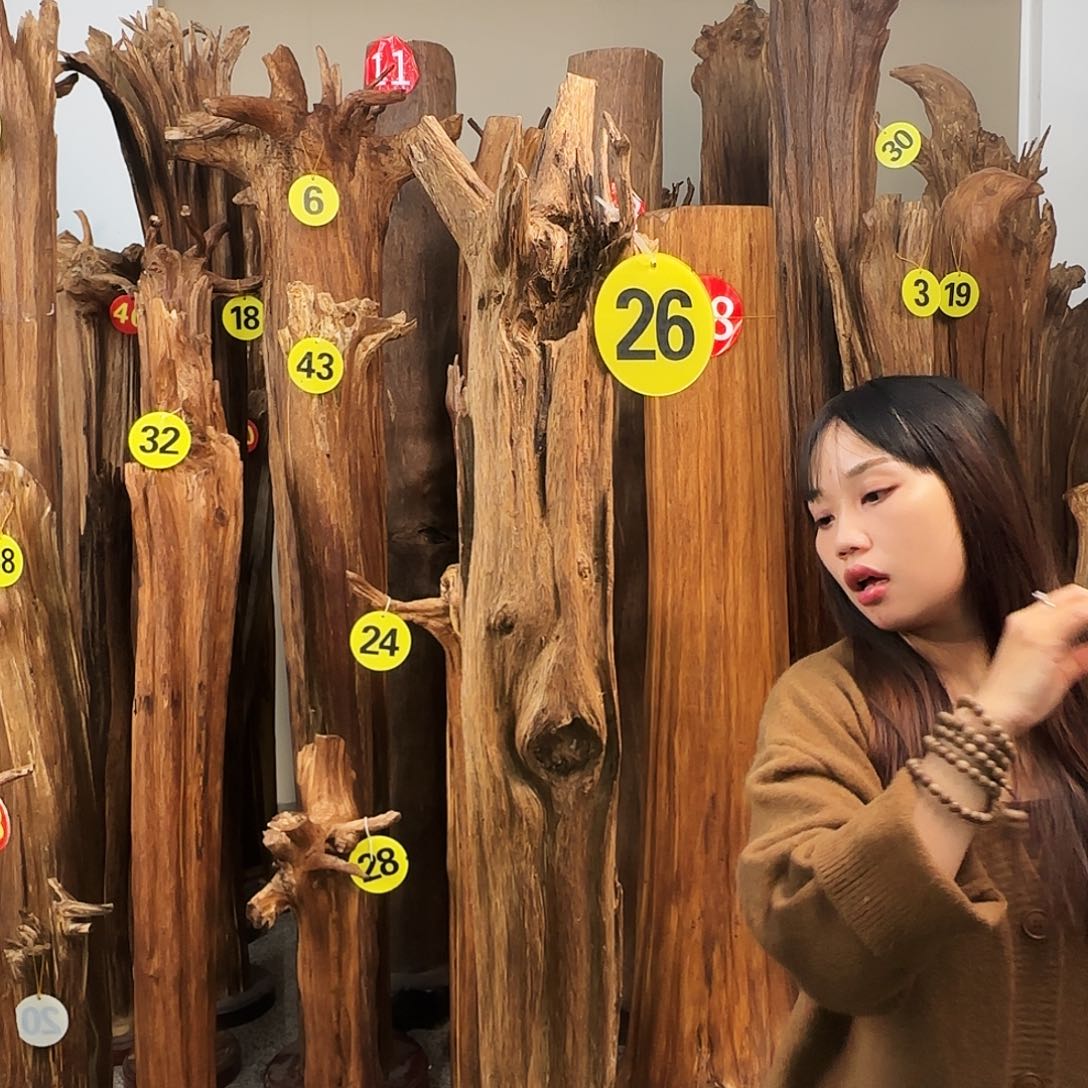 沉香摆件天然沉香原材料香料熏料