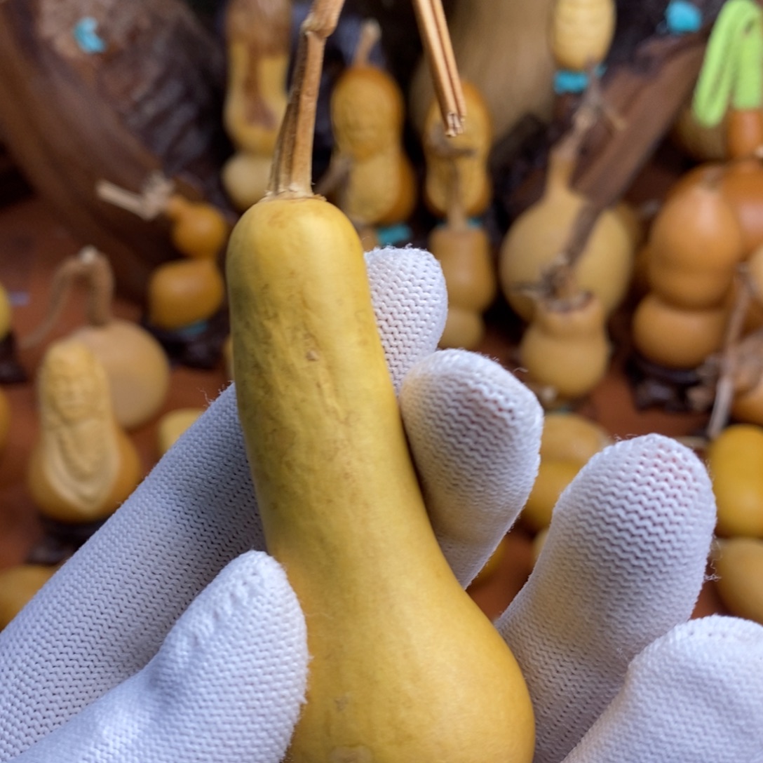 山***享桂林哭咯与教练咯