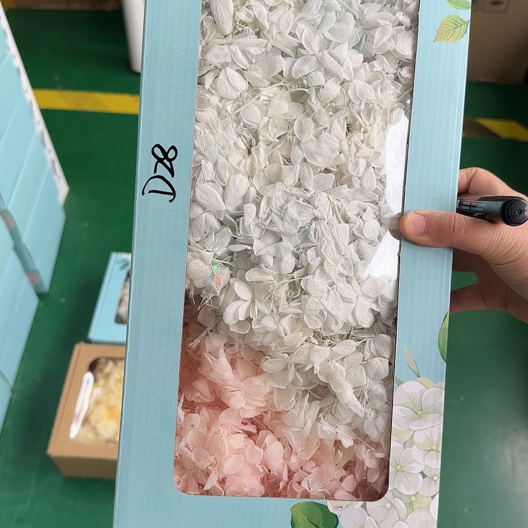 D28号蓝色粉色绣球