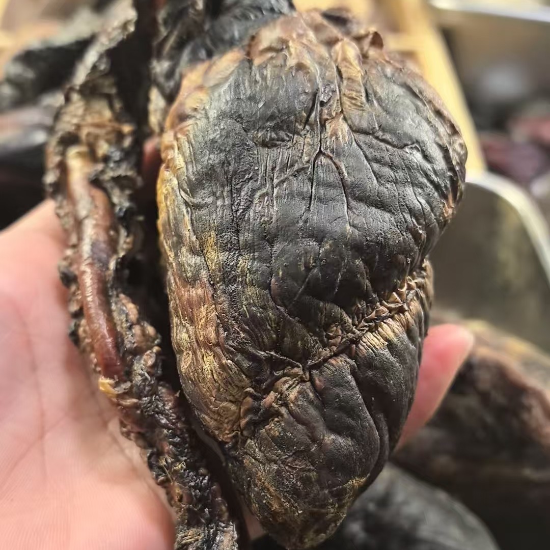 吉林双阳产地直发梅花鹿干鹿心计重直播选货，（打粉需要备注）