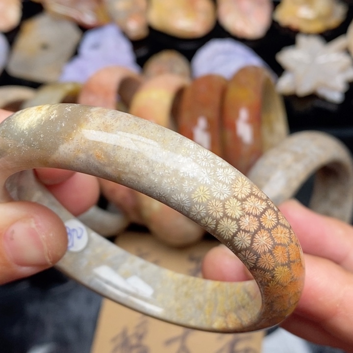 硅化珊瑚（珊瑚玉）颈饰未镶嵌57.3