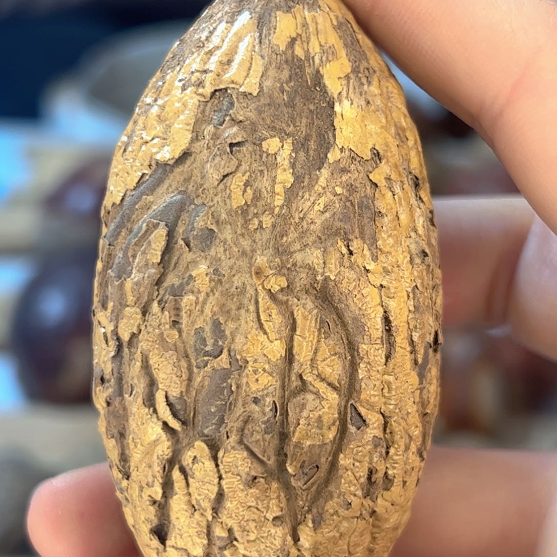 千眼菩提吊坠巨无霸福利