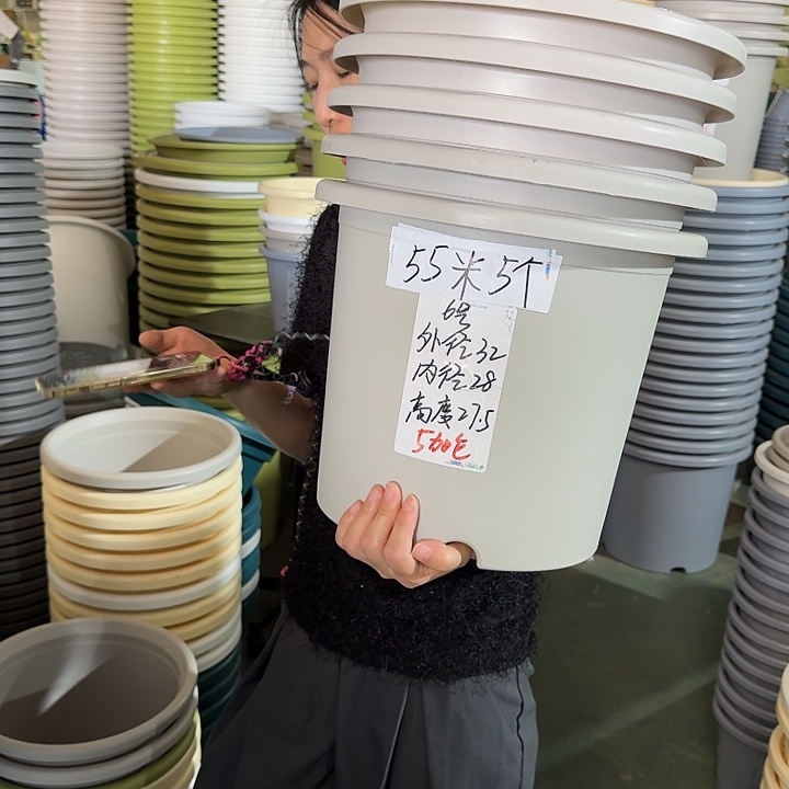 微瑕6#灰白5个无托