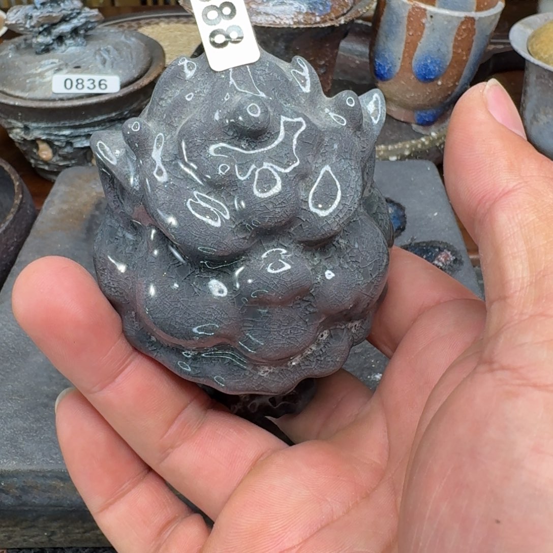 缸?***浩正月初一新春快乐888