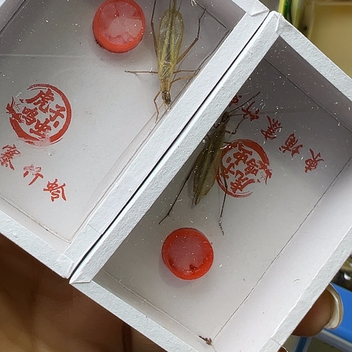 老***钓哈哈哈哈哈哈哈哈哈哈哈