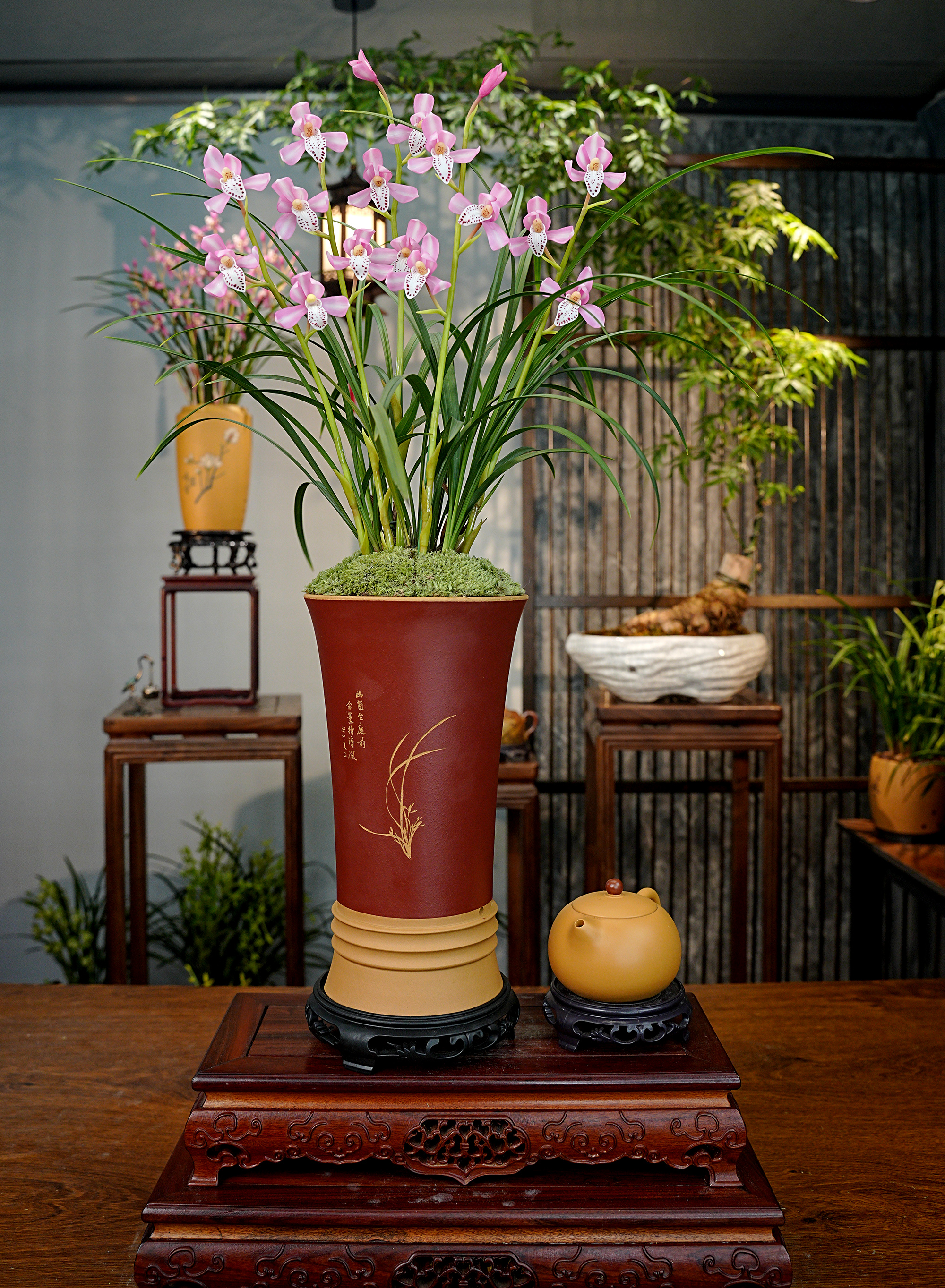 春兰铭品【西施】  带花苞 浓香型兰花 宜兴紫砂盆 室内好养