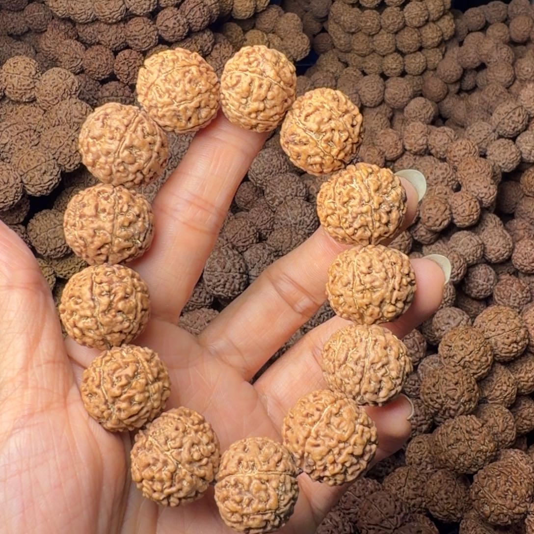 金刚菩提手串7瓣卡20尺，48号