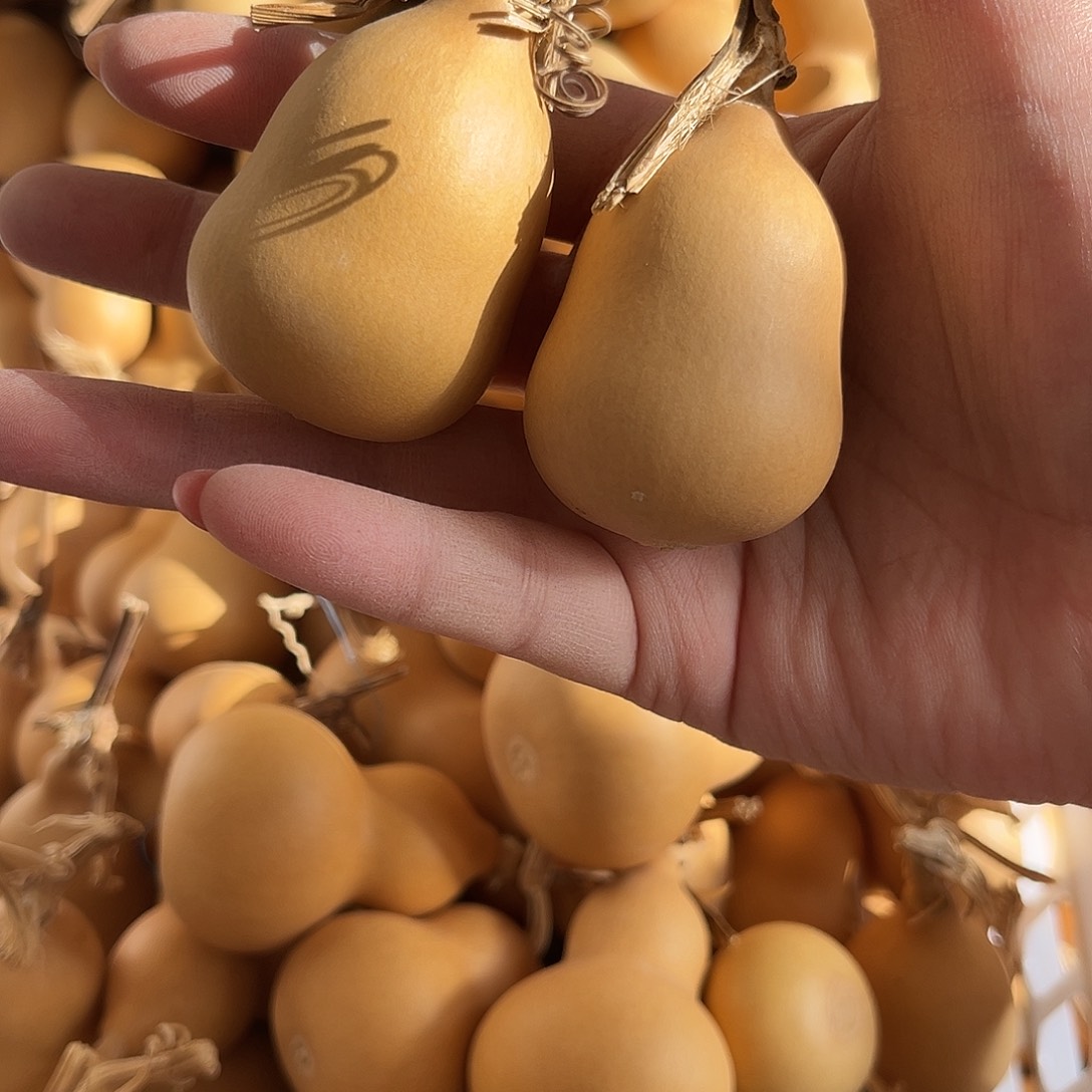 玲****美果胖墩微瑕不退不退