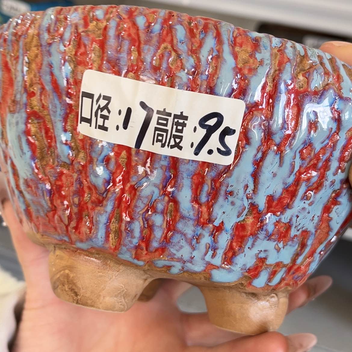 【闪购商品】红陶福利