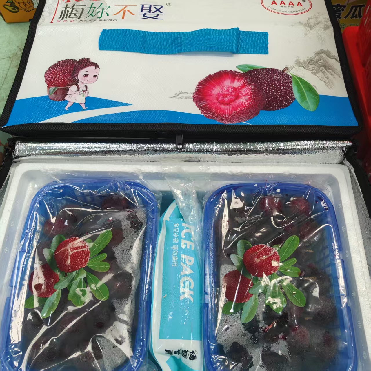 【全国八省】一箱东魁杨梅 新鲜 爆汁新鲜 两盒净重4斤左右