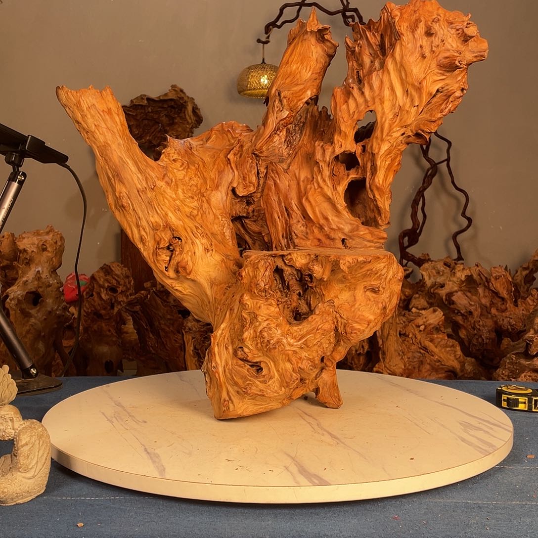 香榧木k1223445672467