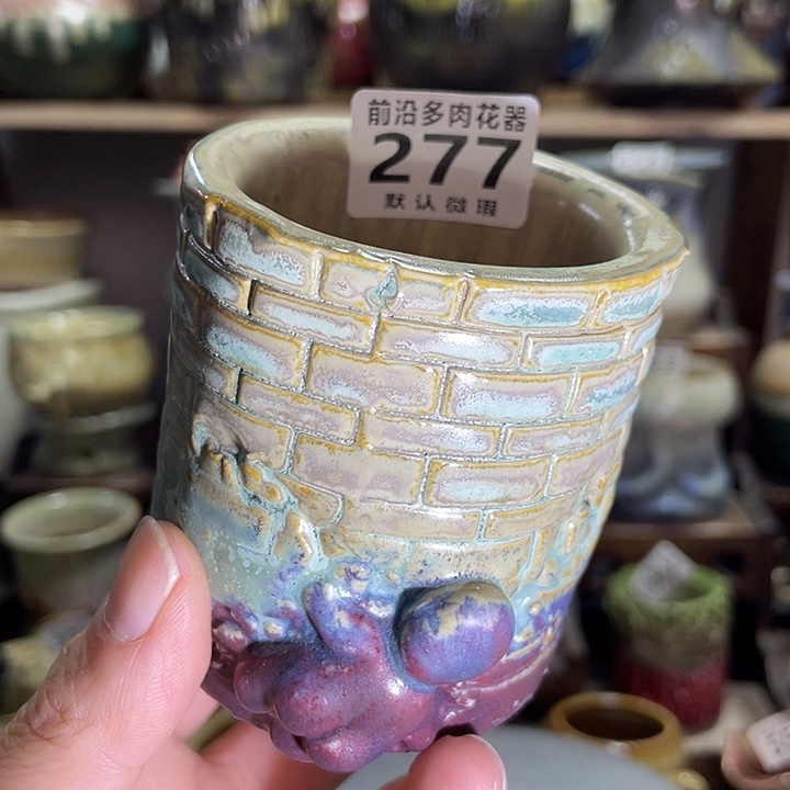 狼盆内口径5高度7（2个50）