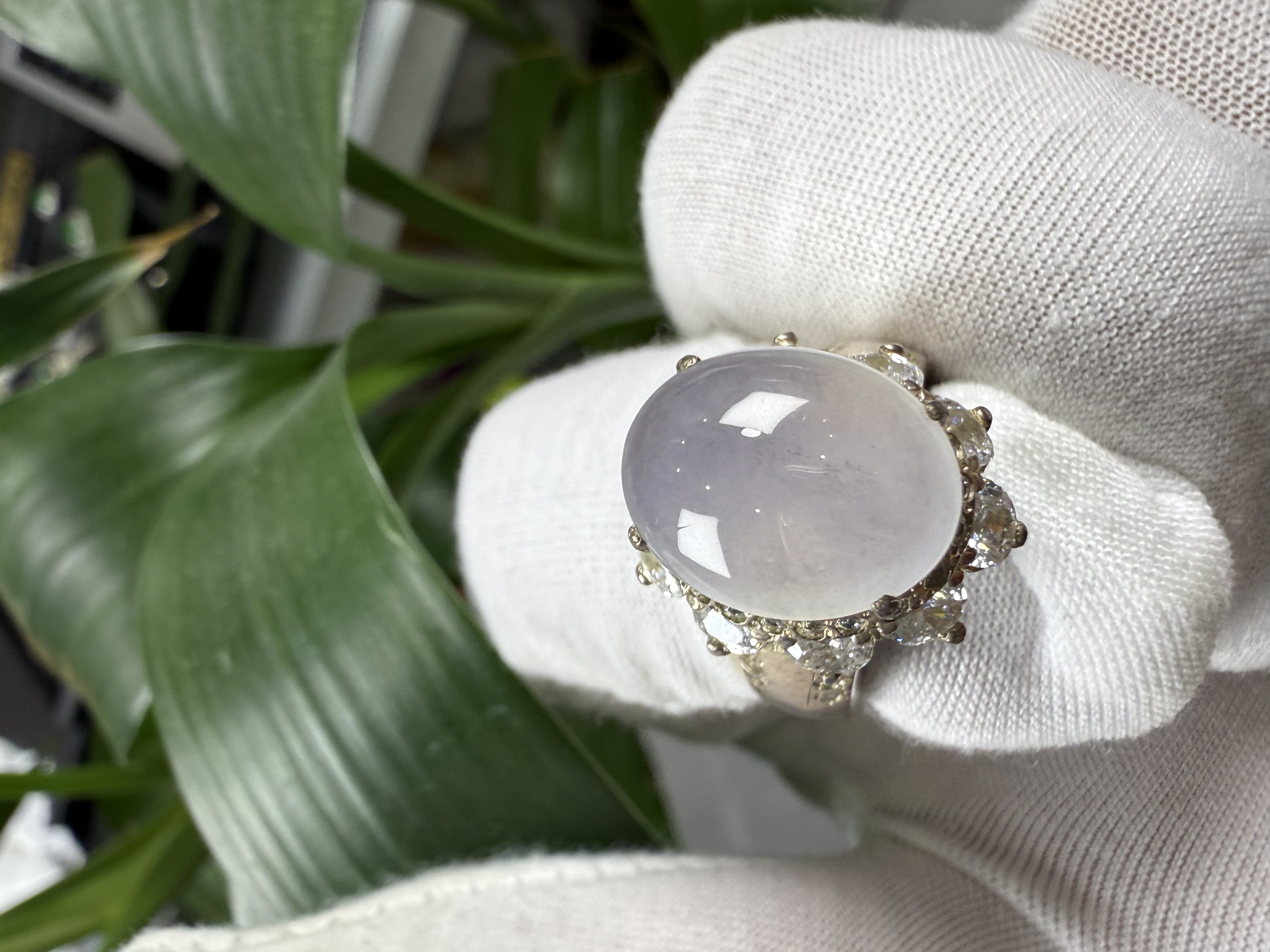 冰淡春女戒缅甸翡翠A货蛋面高冰