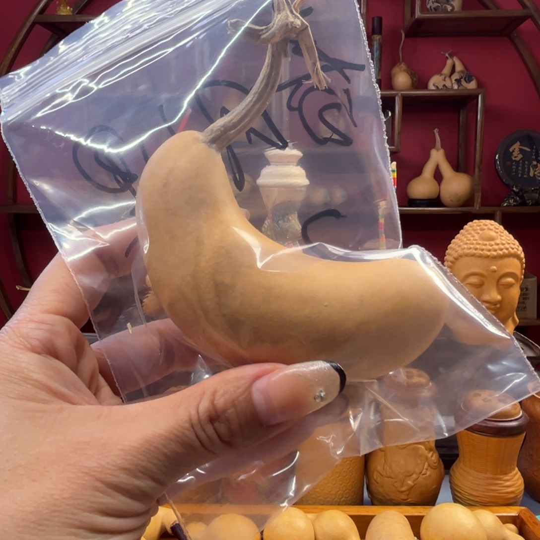 春***里好咯去中午觉咯哦哦