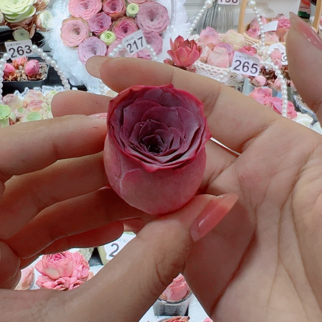 182烟花单棵。       