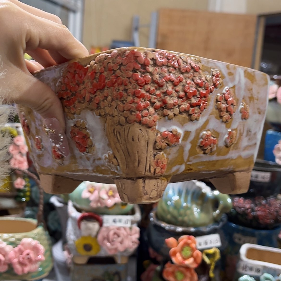 【闪购商品】红陶福利