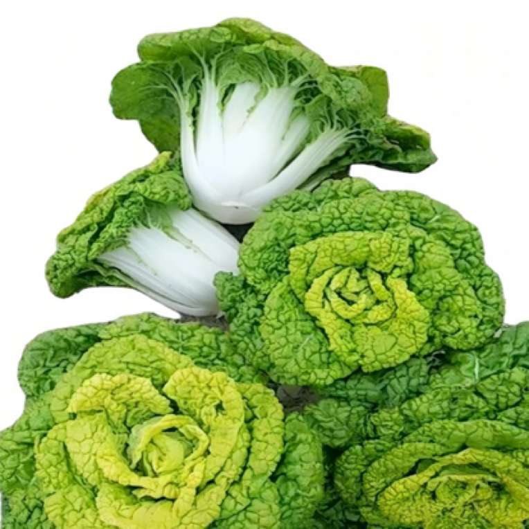 上海本地新鲜黄心菜【现采现发3/斤5斤装】【好东西】黄心菜