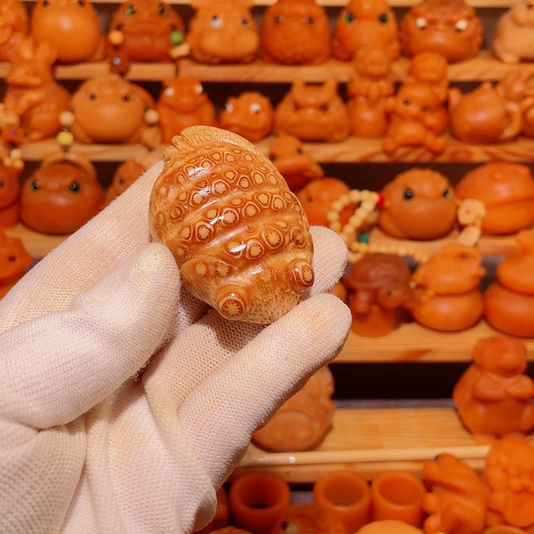 竹山**舟金鱼123456