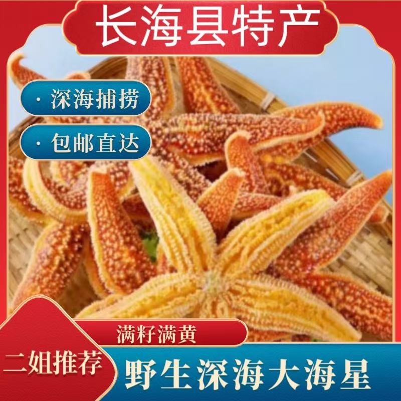 《长海县二姐》岛里深海野生/满籽大海星3斤