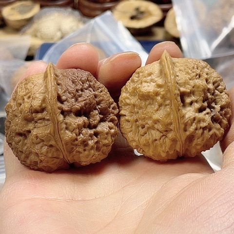 文玩核桃把件金刚佛手带彩42