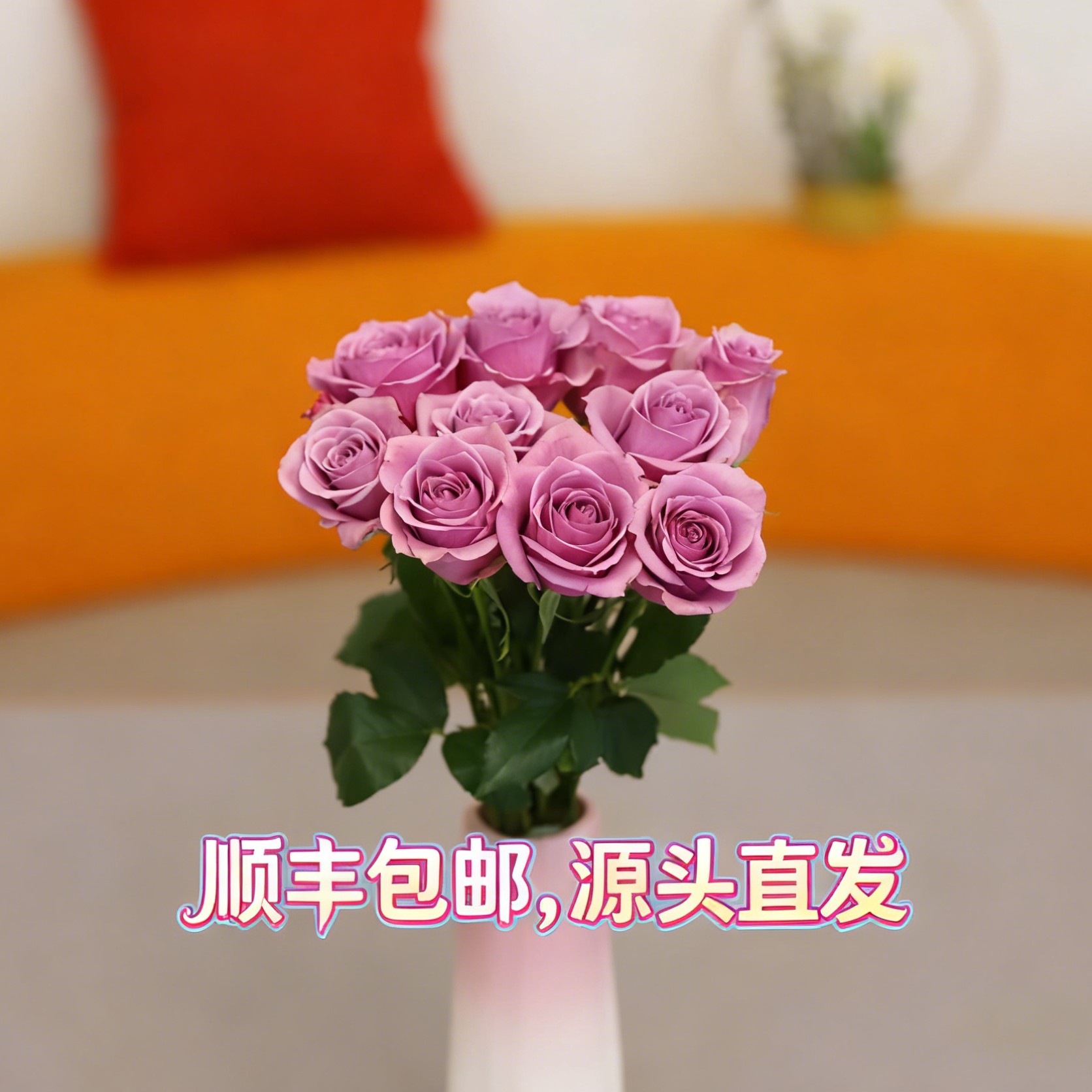 【西北玫瑰】紫霞仙子三国花玫瑰花