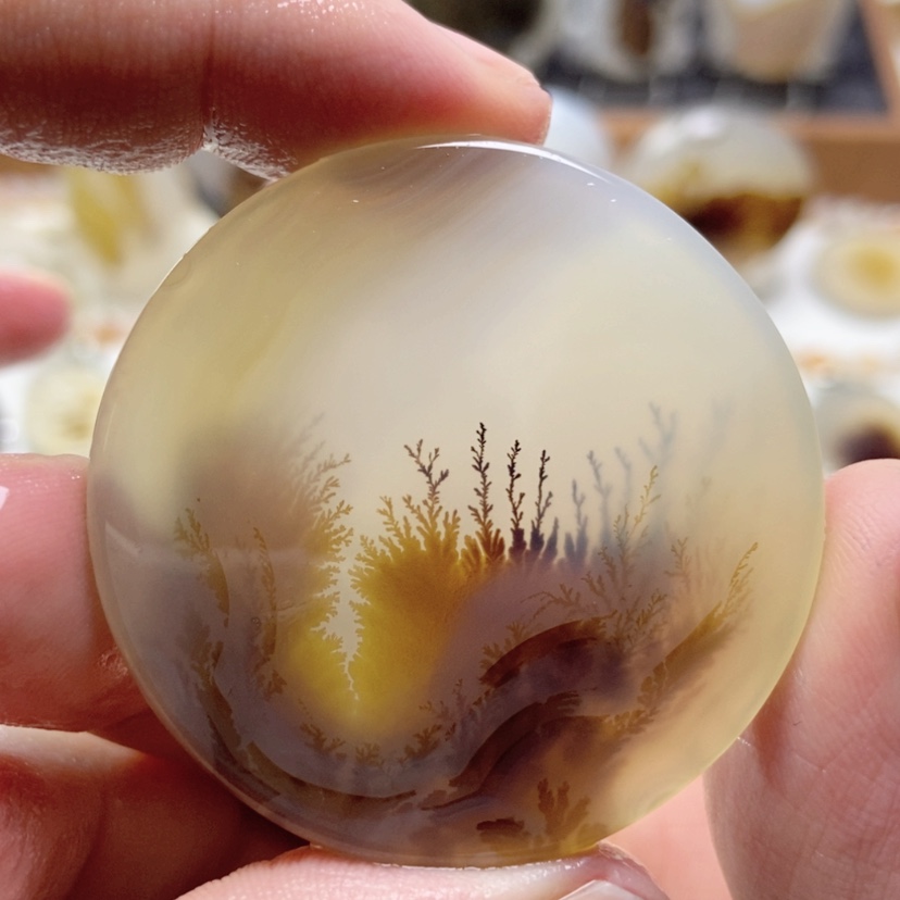 【闪购商品】玛瑙/玉髓颈饰未镶嵌