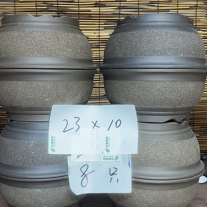 紫砂花盆我在外面