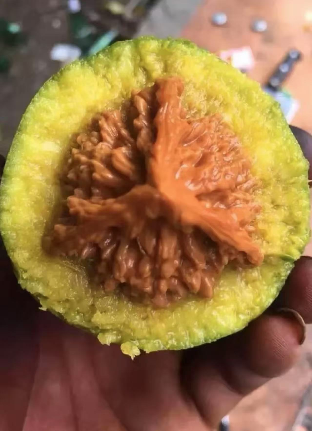 文玩核桃青皮文玩核桃