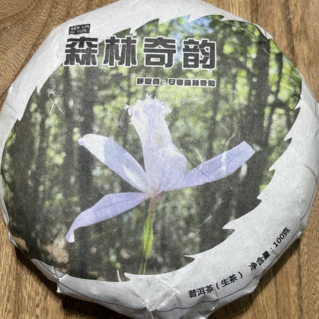 森林气韵生茶100克饼头春