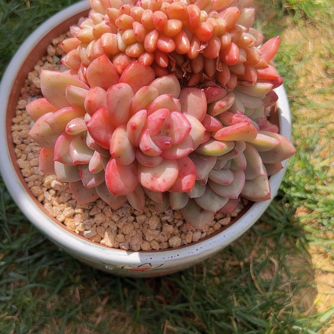 韩货111111111111111