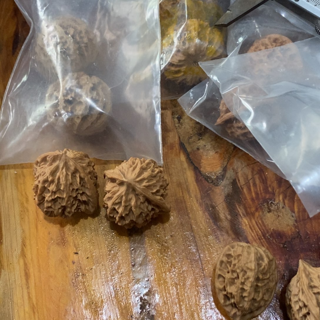 ℡****り秦岭南北区有什么地方