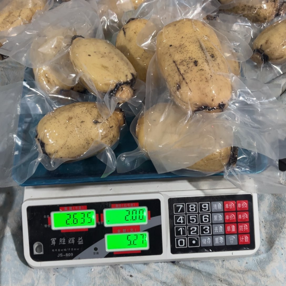 微山湖九孔白莲藕中国大陆