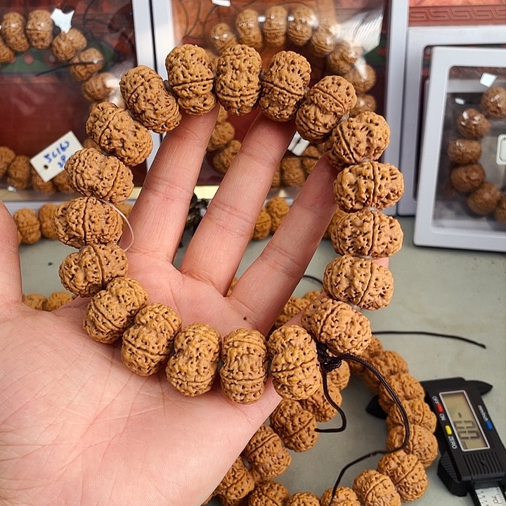 金刚菩提手串夹板