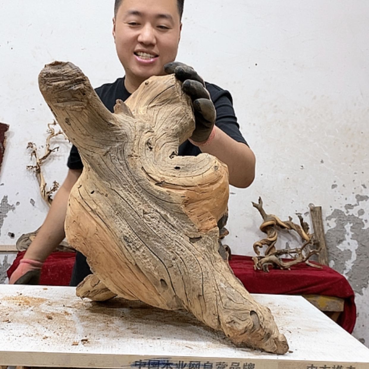 【闪购商品】柏木爱***辉我们都是好孩子